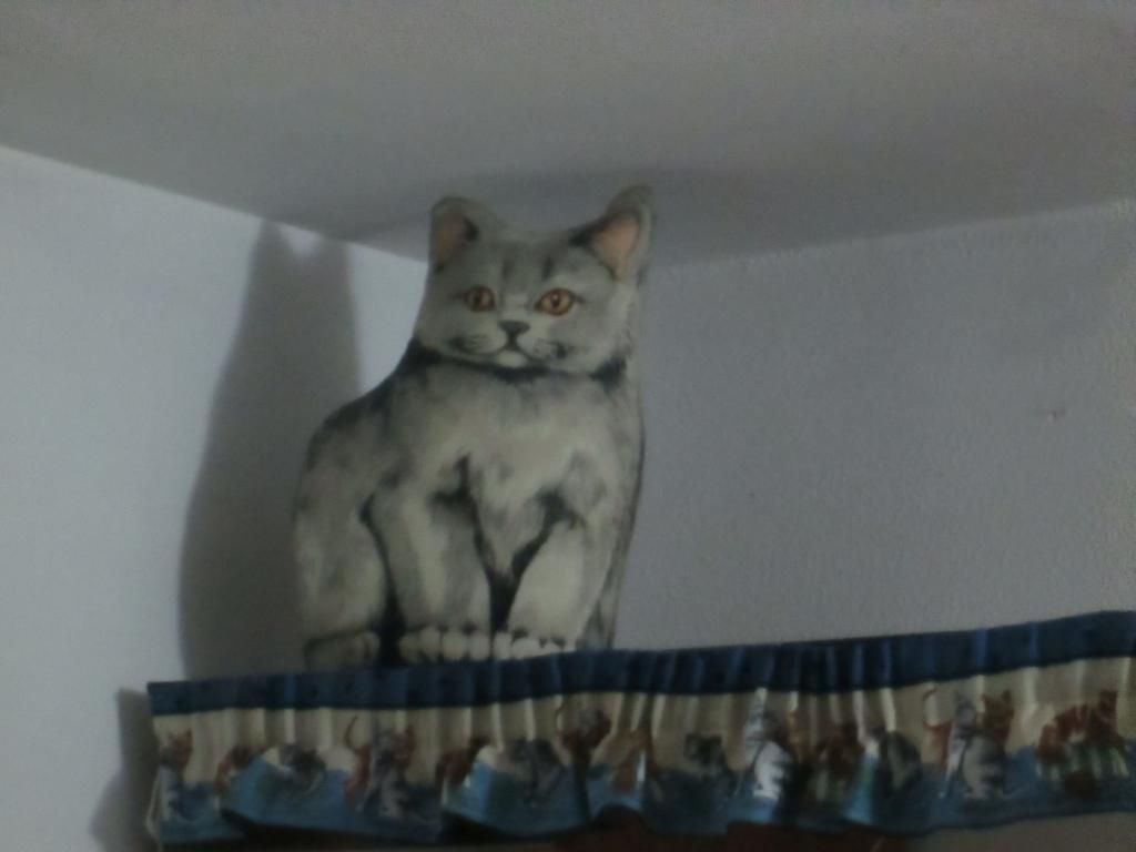 リド・ディ・オスティアCat'S Houseアパートメント 部屋 写真